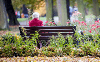 NEXT AVENUE: It’s Time to Flatten the Loneliness Curve for Older Americans