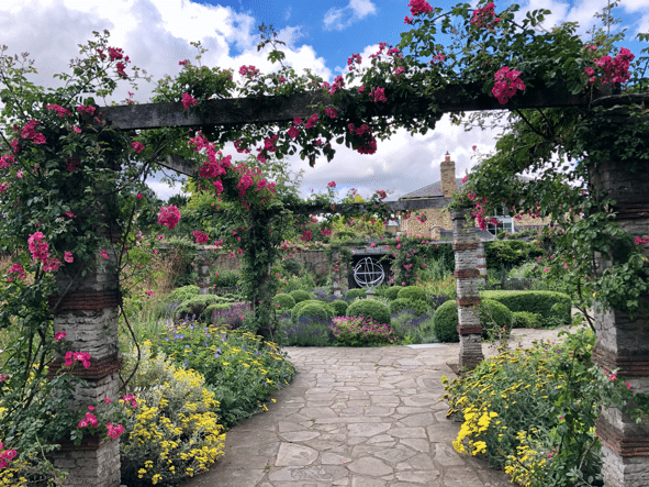 STANFORD CENTER ON LONGEVITY BLOG: Socially “Scented” Connections During the Pandemic